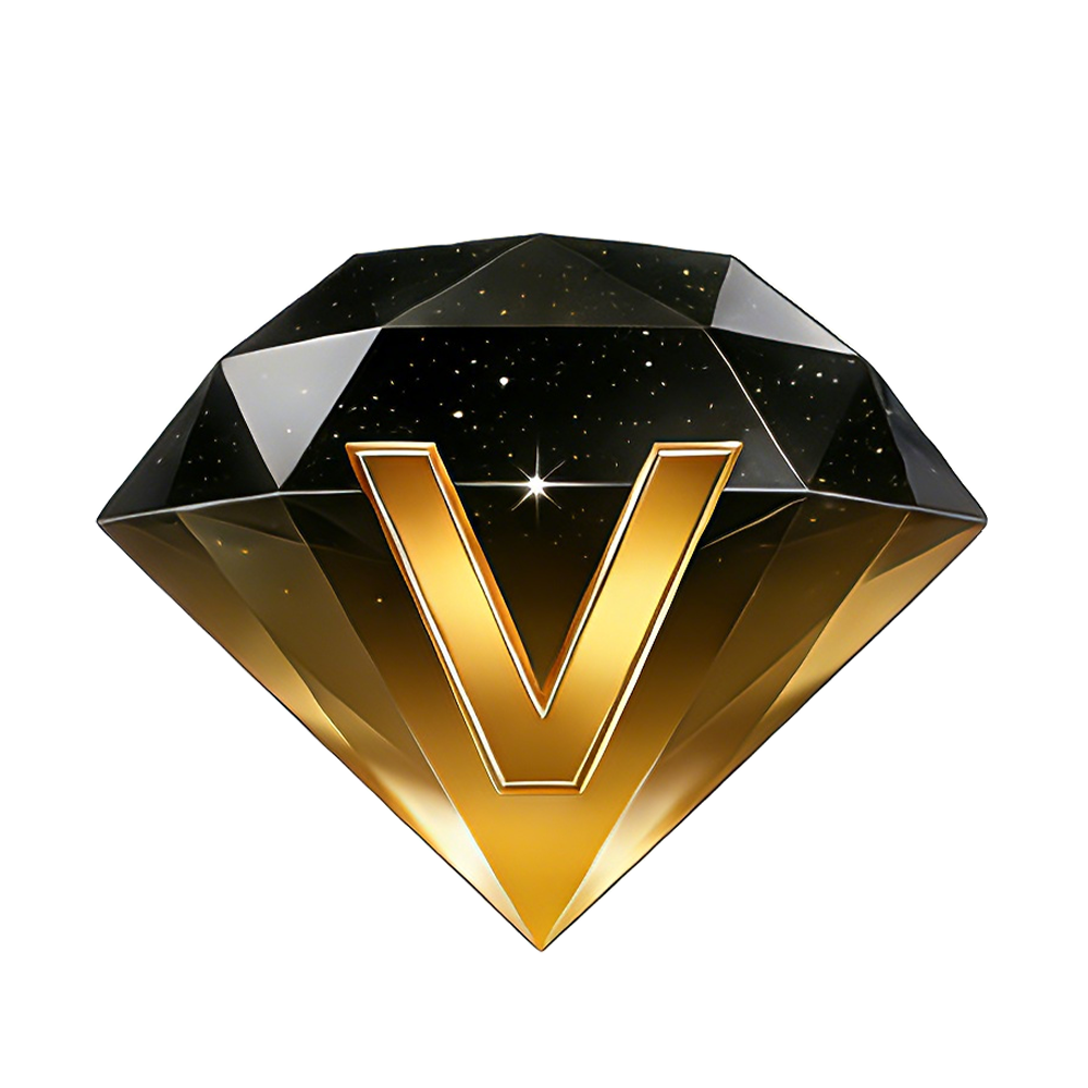 SVIP 黑金尊享 配图