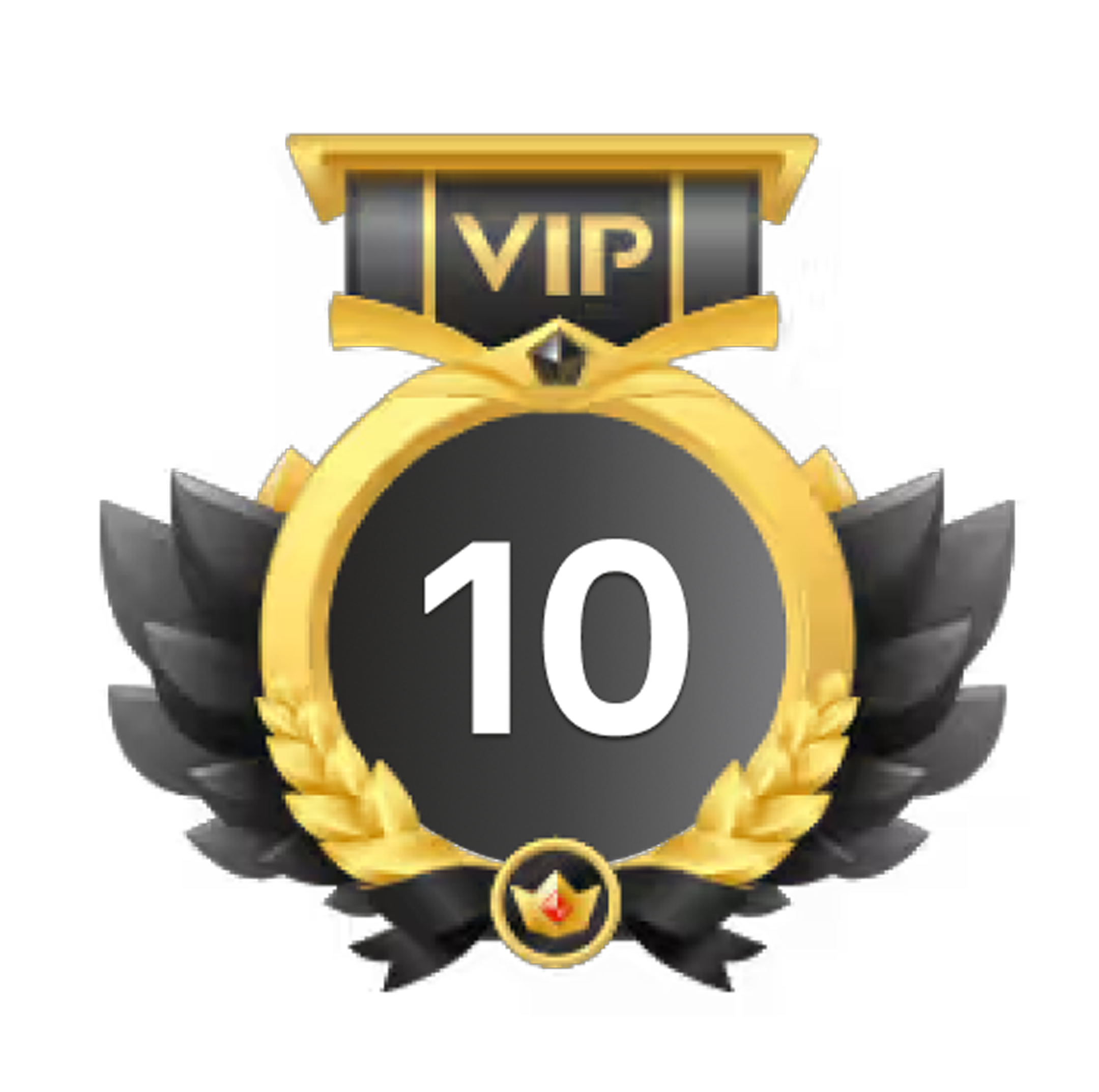 VIP10 配图